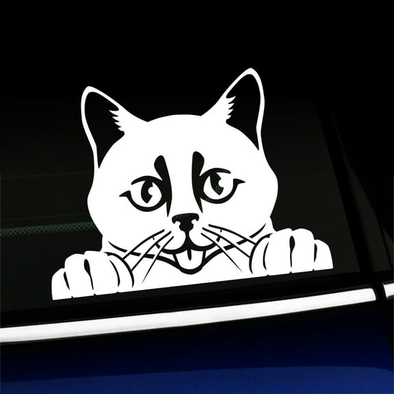 Peeking Cat - Vinyl Car Decal - Choose Color - [WHITE]