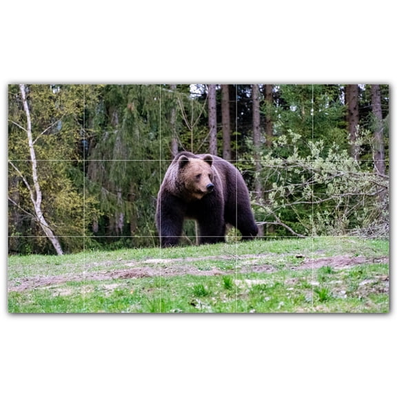 Picture-Tiles.com: Bear Ceramic Tile Wall Mural WAL500123-53XL. 60"W x 36"H using (15) 12" x 12" Ceramic Tiles-Satin Finish