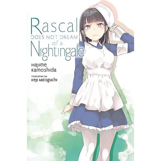 Rascal Does Not Dream of a Nightingale (light novel) (Rascal Does Not Dream (light novel))