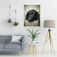 thumbnail image 2 of DIY 5D Diamond Painting Kits Black Dogs Labrador Full Drill Round Beads Diamond Art Cross Stitch Diamond Painting by Number Kits Dog Person Gift and Wall Decoration, 2 of 7