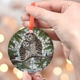 thumbnail image 4 of Barred Owl on Pine tree branch GLASS Hanging, Winter landscape, barred owl suncatcher, bird watching gift, Christmas gift, owl lover, Ornament 2025, Holiday 2025, Seasonal Holiday, 4 of 5