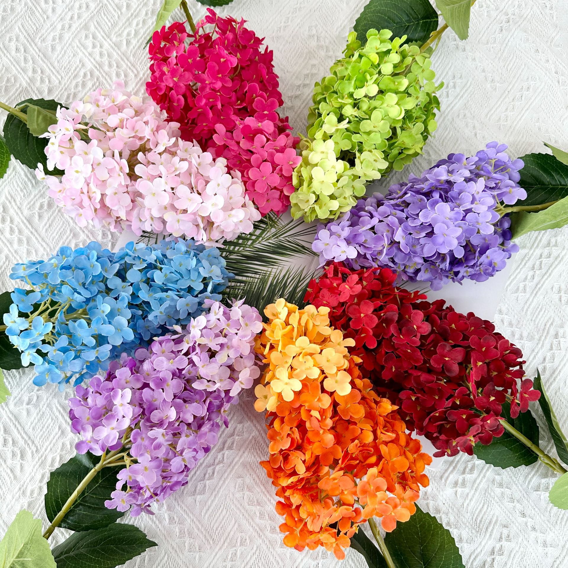 ◆Hydrangea4936◆ Panzola Paniculata – Hydrangeas.com