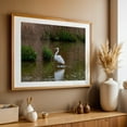 thumbnail image 4 of Common Egret in the Rain - York Pennsylvania Photography Wildlife Bird Nature Water Lake Scenic Wilderness Oak Framed Wall Art Print 16 x 24 inches, 4 of 6