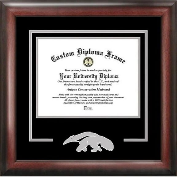 Campusimages CA933SD University of California Irvine Spirit Diploma Frame