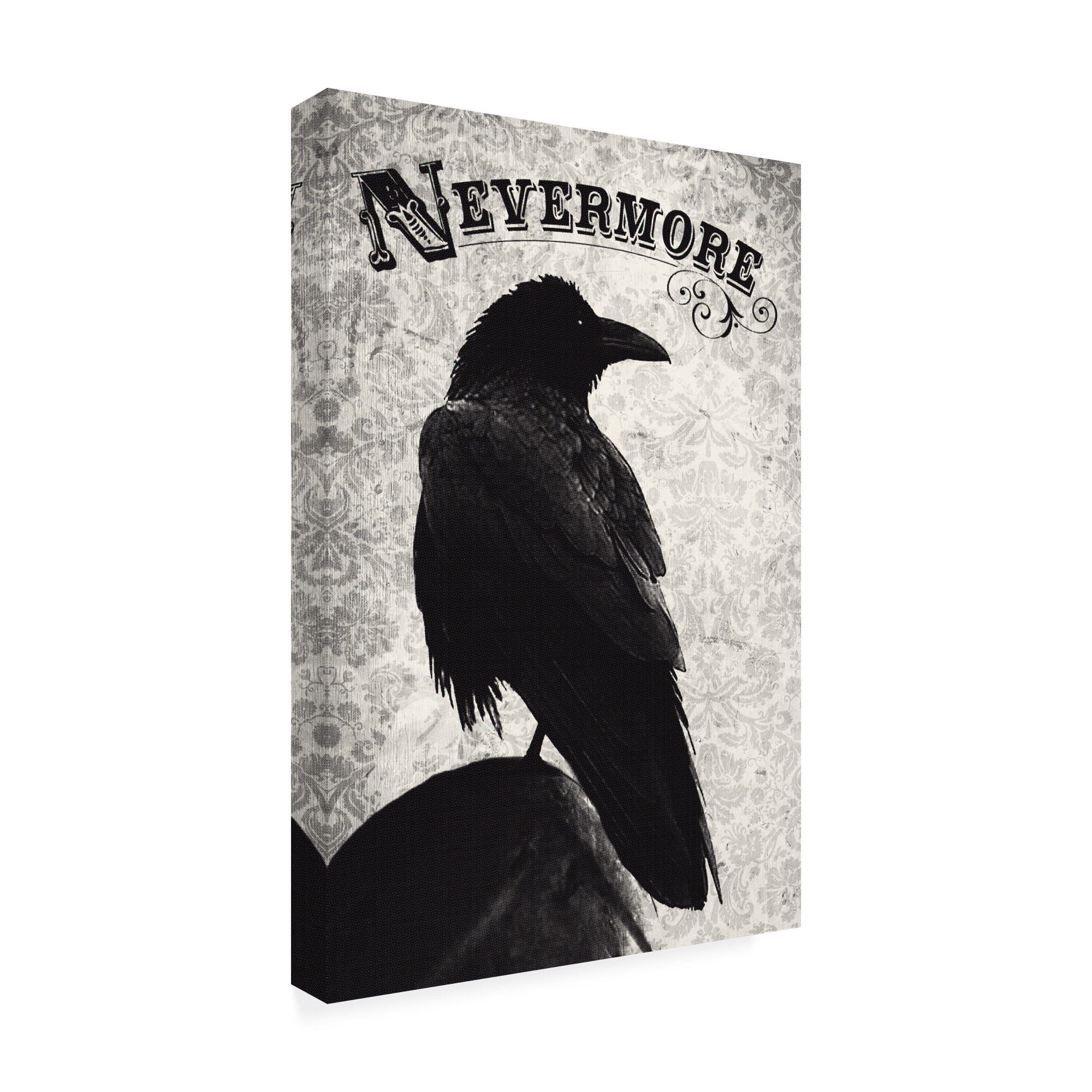 Trademark Fine Art 'Nevermore Black River' Canvas Art by Michael Buxto