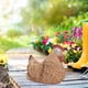 thumbnail image 1 of Maceta de pollo para jardín con luz solar, portalápices, adornos, estatuilla para exteriores marrón Cola Figuras decorativas de patio, 1 of 7