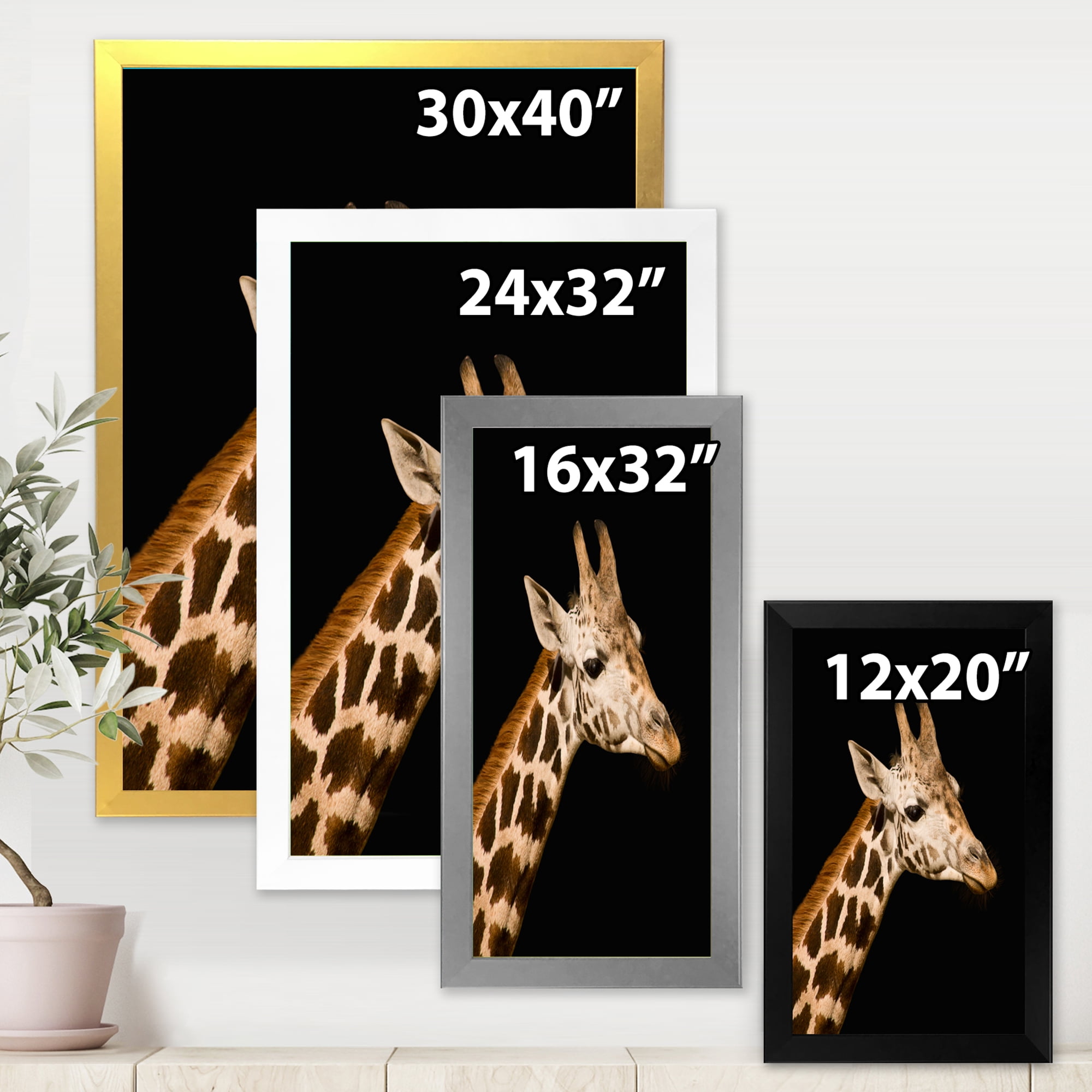 Designart 'Close Up Portrait Of A Giraffe On Black IV' Farmhouse Framed Art Print