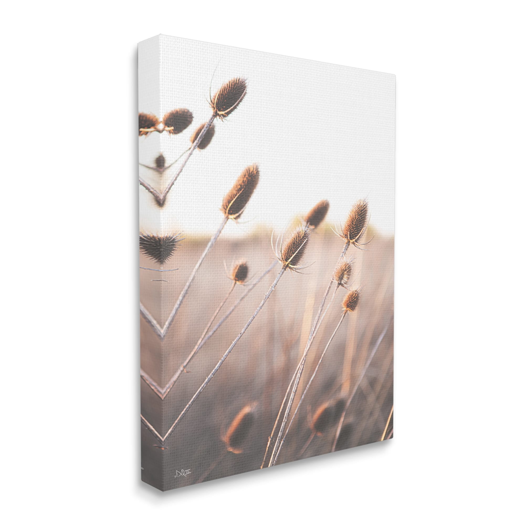Stupell Industries Tranquil Plant Buds Sprouts Country Meadow Grass Canvas Wall Art, 30 x 40, Design by Donnie Quillen