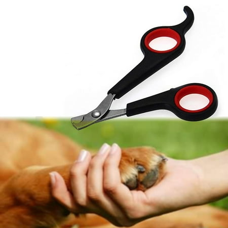 Easy to Operate Pet Nail Claw Stainless Steel Grooming Scissors For Dog Cat Bird Gerbil Rabbit Ferret Small Animals Nail Clipper (Best Nail Grinder For Small Dogs)