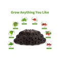 thumbnail image 5 of 24pcs Seed Pod Kit For , Hydroponics Grow Anything Kit Garden Seed Starting System Indoor Hydroponi--, 5 of 5