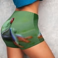 thumbnail image 4 of Goofa Red-Eyed Tree Frog-1 Printed Workout Shorts Women Seamless Scrunch Butt Lifting High Waisted Gym Booty Shorts Elastic Workout Shorts-X-Large, 4 of 8