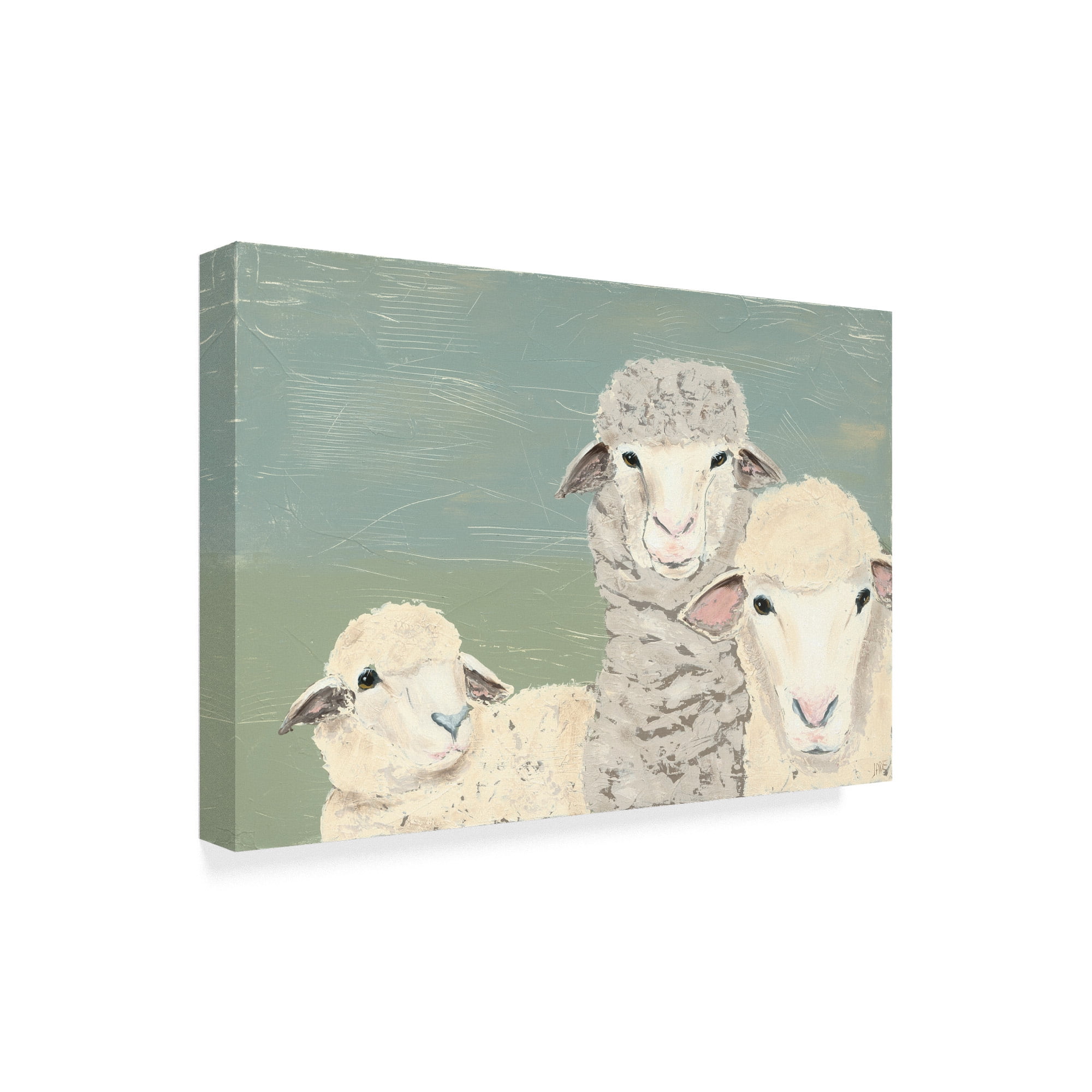 Trademark Fine Art 'Bashful Sheep II' Canvas Art by Jade Reynolds