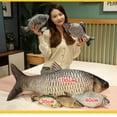 thumbnail image 5 of 13 estilos 30-100CM simulación pez juguetes de peluche realista tilapia carpa besugo almohada de peluche suave relleno cama respaldo cojín creativo D, 5 of 5