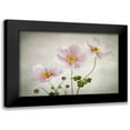 thumbnail image 1 of Disher, Mandy 24x18 Black Modern Framed Museum Art Print Titled - Anemones, 1 of 5