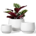 thumbnail image 3 of BEMAY Set of 3 Ceramic Plant Pots, 4.1" 5.1" 6.5" Indoor Planters with Drainage Hole and Saucer, White Round Flower Pots (Plants Not Included), 3 of 11