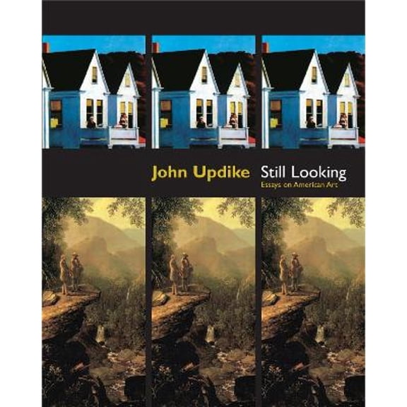 Pre-Owned Still Looking : Essays on American Art (Hardcover)