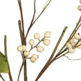 thumbnail image 6 of Northlight Artificial Berry Branch Sprays - 38" - Green and Cream - Set of 4, 6 of 7