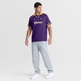 thumbnail image 3 of Men's Fanatics Purple/Gold Minnesota Vikings Homerun Raglan V-Neck Polo, 3 of 5