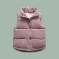 thumbnail image 2 of Toddler Boys Girls Sleeveless Collar Down Vest Fall Winter Solid Color Button Stripe Jacket, 2 of 5
