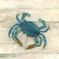 thumbnail image 2 of Swatland, Sally 15x15 White Modern Wood Framed Museum Art Print Titled - Wake Up Crabby, 2 of 4