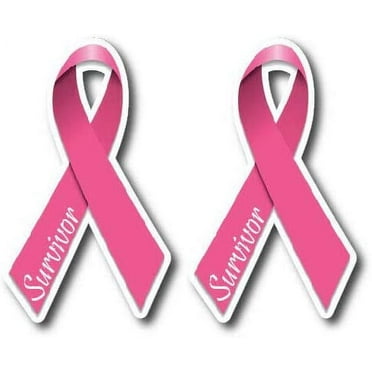 2X Pink Ribbon Breast Cancer Sucks Survivor Decal Bumper Sticker car Truck Auto