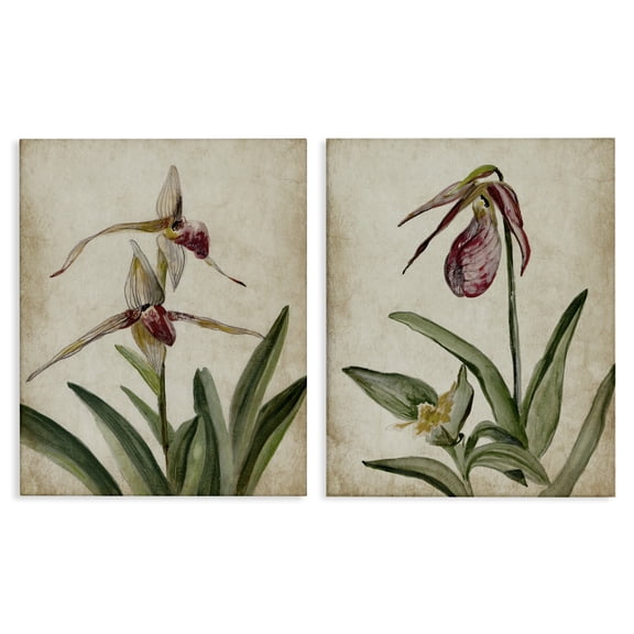 Stupell Industries Vintage Blooming Birds of Paradise Floral Painting Wrapped Canvas Canvas Art Print Wall Art, 16 x 20, Set of 2