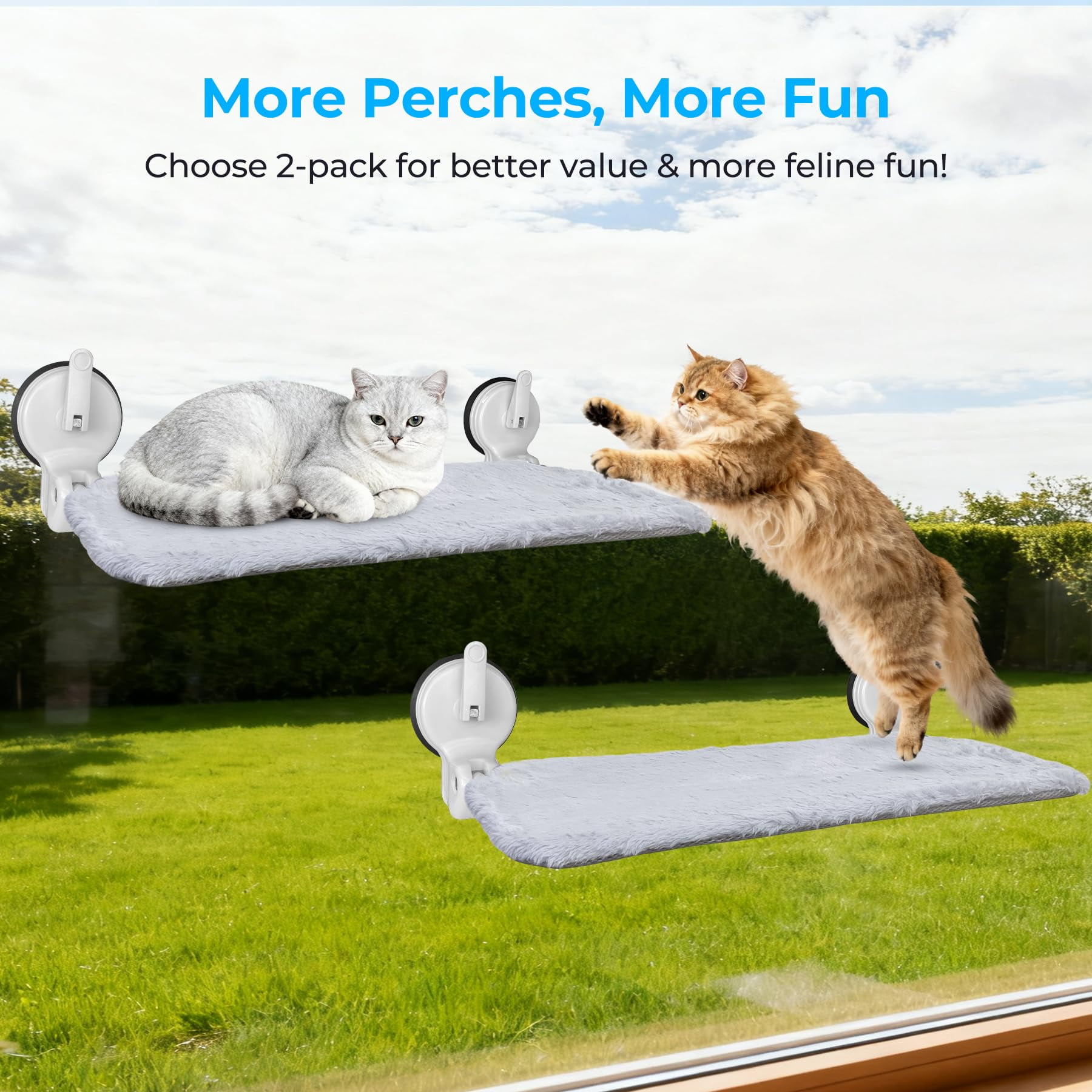 L&W BROS. Cat Window Hammock, Foldable Cat Window Perch with Lever Lock Suction Cups, Holds up to 50 lbs, Washable Cover (M 1Pc)