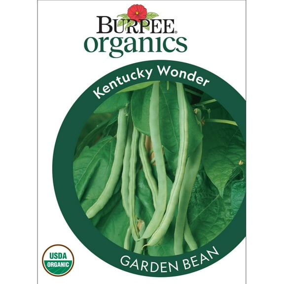 Burpee Organics Kentucky Wonder Garden Bean, Organic Heirloom Annual Vegetable Seeds, Full Sun