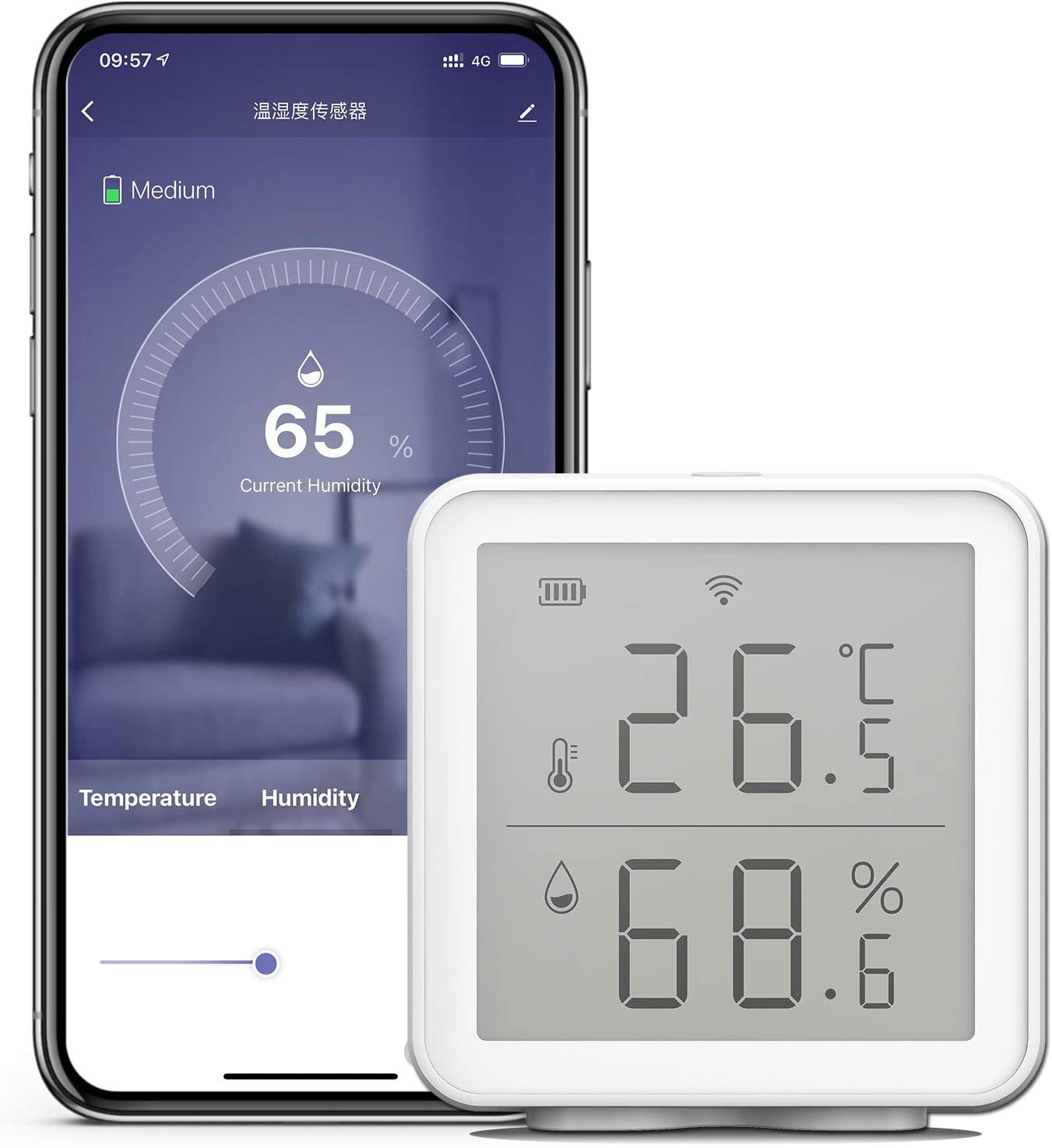 Garden & Outdoors Thermometers & Meteorological Instruments WiFi Smart