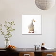thumbnail image 4 of Aylesbury Duck Domestic, Unframed Photographic Print Wall Art Sold by Art.Com, 4 of 4