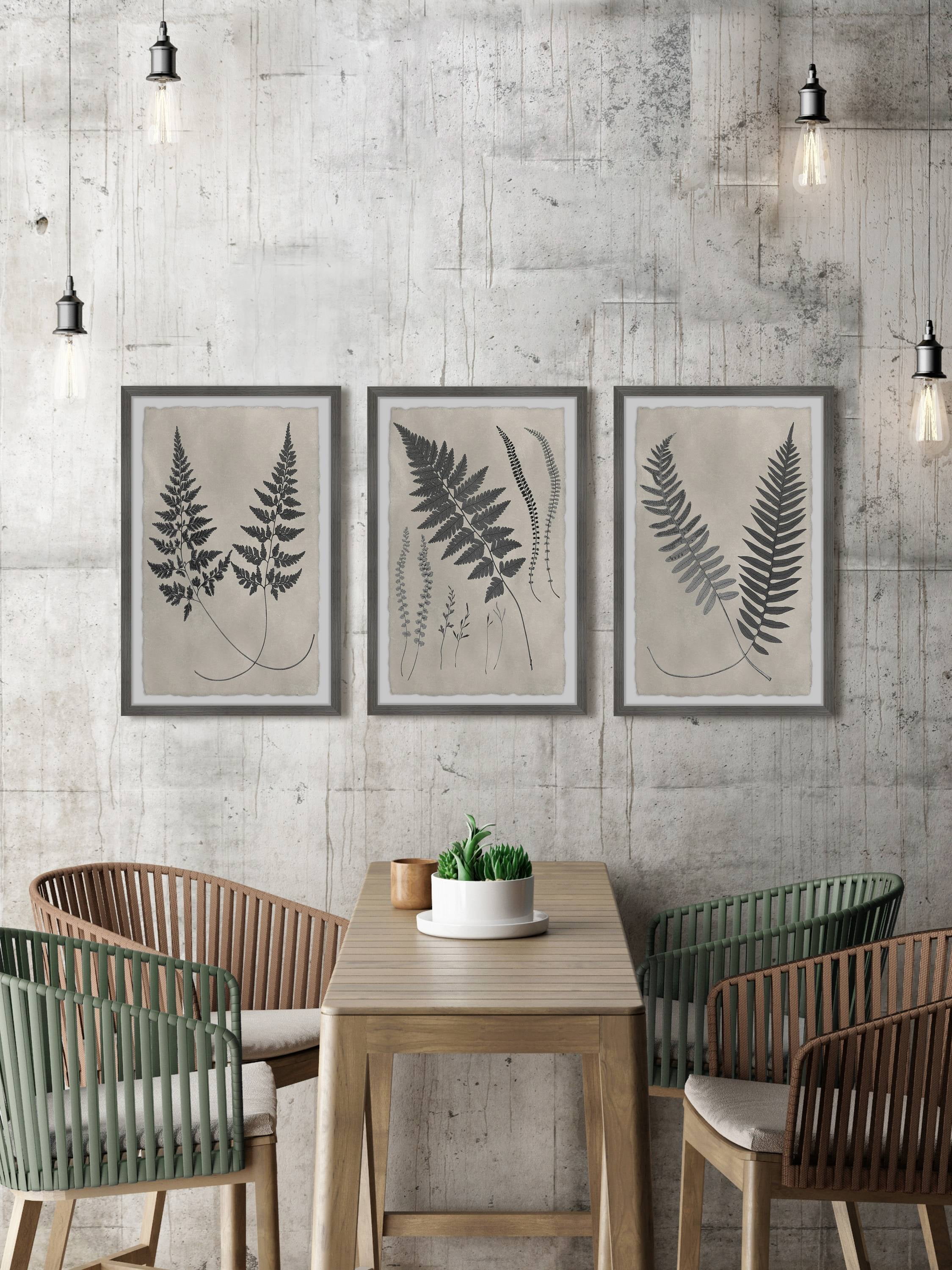 Marmont Hill Vintage Fern Study II Triptych