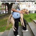 thumbnail image 4 of Arnés Elevador para Perros Coodeo Soporte de Rehabilitación para Mascotas XS, 4 of 6