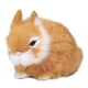 thumbnail image 1 of Mini conejos de peluche Sincero cómodos y duraderos naranja, 1 of 10