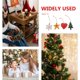 thumbnail image 2 of GOOHOCHY 4 colgantes navideños para árbol de Navidad, adorables colgantes de resina con diseño de dibujos animados, 2 of 8