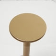 thumbnail image 6 of DecMode 16" x 23" Clear Acrylic Plastic Accent Table with Elevated Base and Gold Stand, 1-Piece, 6 of 10