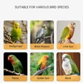 Flying Rings Birds GASTROPOD Parrot Flying Rope Lightweight Bird Harness Leash with Foot ...