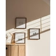thumbnail image 6 of Haus and Hues 10x10 Frames - Square Picture Frames set of 3 Picture Frame, 10 x 10 Frame Walnut Picture Frames, Photo Gallery Wall Frame Set, Square Frame 10 x 10 Picture Frames, Wooden Picture Frames, 6 of 6