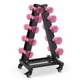 VIVISPECIAL AFrame Dumbbell Rack Stand, 700LBS Weight Capacity