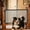 Black_Base#1426, variant on No Drill Mesh Pet Gate for Doorways and Stairs, Adjustable Indoor Dog and Cat Safety Barrier with Bottom Hooks and Built In Pet Door