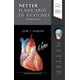 thumbnail image 1 of Netter Flashcards de Anatomía 5ta Edición Elsevier 9788491136552, 1 of 2