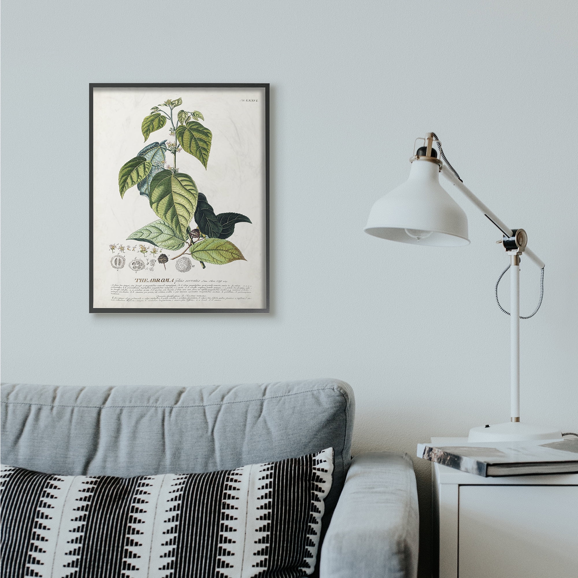 Stupell Industries Botanical Plant Illustration Seeds And Leaves Vintage Design Framed Wall Art by Unknown