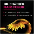 thumbnail image 2 of Garnier Olia Oil Powered Ammonia Free Permanent Hair Color, 6.3 Light Golden Brown 1.0 set, 2 of 2