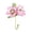 D, variant on Beautiful Purple Flower Decorative Wall Hook, #C