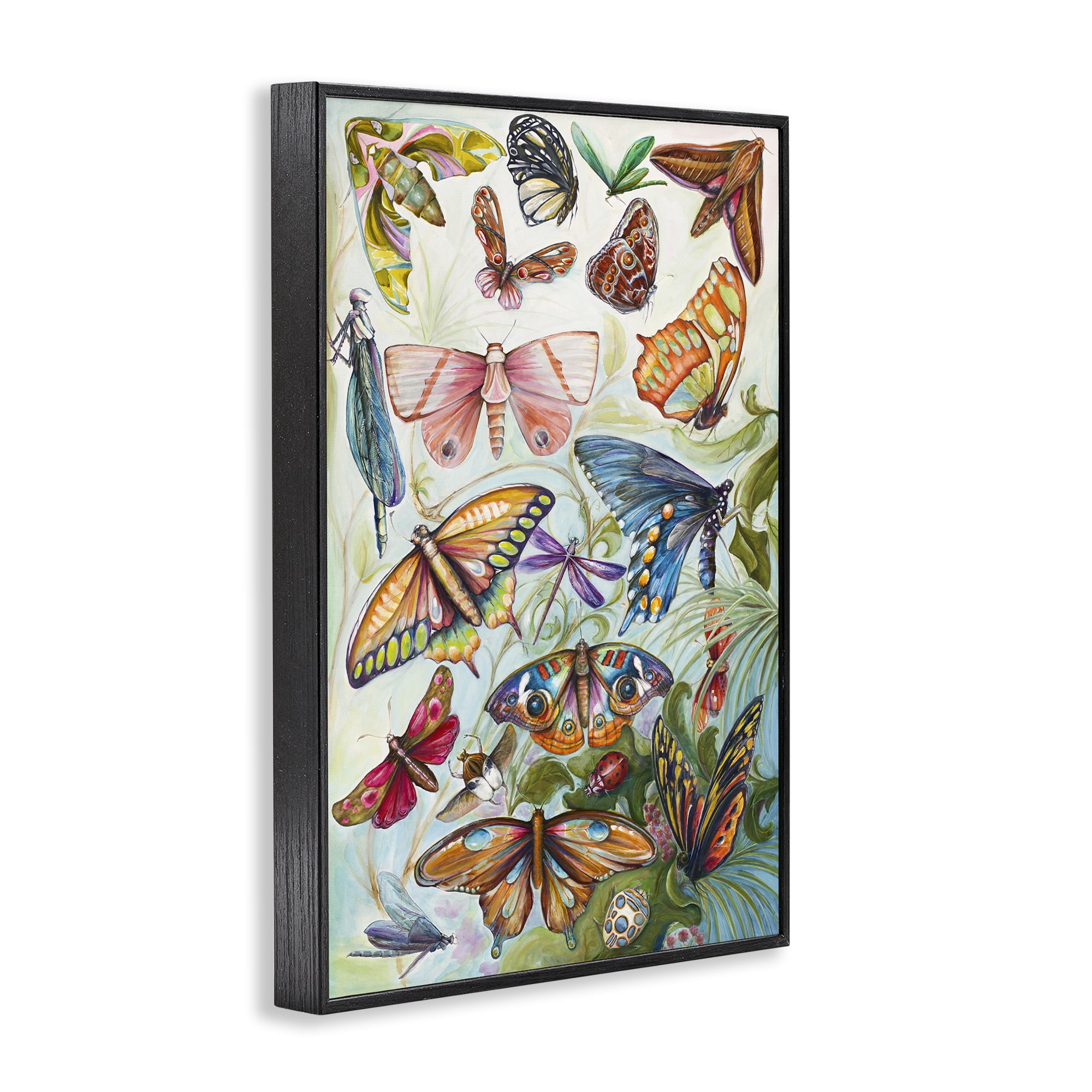 Stupell Industries Colorful Butterfly Conservatory Black Framed Giclee Art, design by Diannart