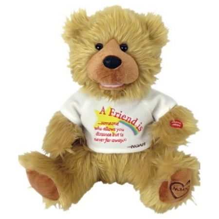 Chantilly Lane 12" Noah Bear "A Friend is
