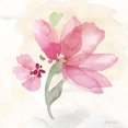 thumbnail image 2 of CoulterCynthia 20x20 White Modern Wood Framed Museum Art Print Titled - Poppy Single Pink, 2 of 4