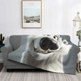 thumbnail image 2 of Balery Smiling Polar Bear Manta de Franela con Dibujo, Lujo Ultra Suave y Cálido, Antipelusa y Resistente a las Arrugas para Cama, Sofá, Camping -60"x50", 2 of 6