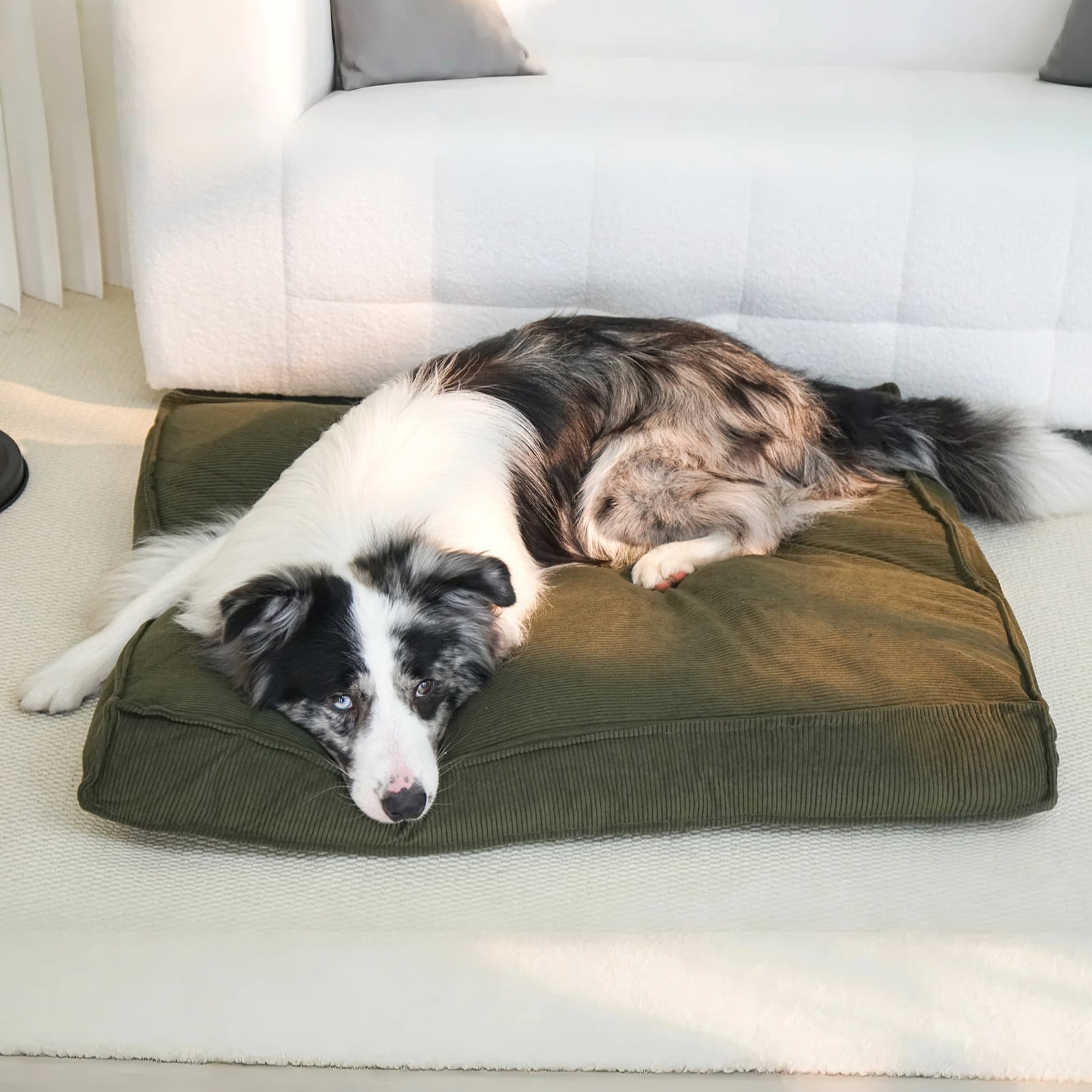 Luxury Dog Bed for Dogs up to 33lbs, Breathable, Durable & Washable with Removable Cover, Concealed Zipper and Non-Slip Bottom