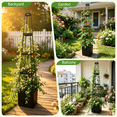 thumbnail image 4 of 2 Packs Raised Garden Bed Tomato Planter with Trellis, 57" Tomato Cages for Climbing Vegetables Plant, Self Watering Planters Box for Garden Pots for Patio Greenhouse Indoor Outdoor, 4 of 8