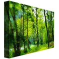 thumbnail image 2 of Trademark Fine Art "Forest Walk in Spring" Canvas Wall Art by Lois Bryan, 2 of 2